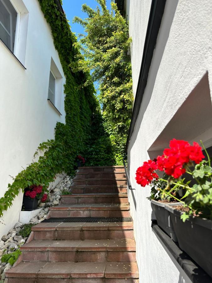 Penzion, Vinny Sklep A Cafe Barta Mikulov Exterior foto
